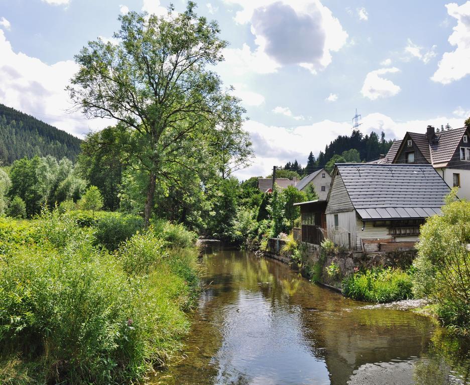 Flair-Hotel Waldfrieden Oberweißbach المظهر الخارجي الصورة