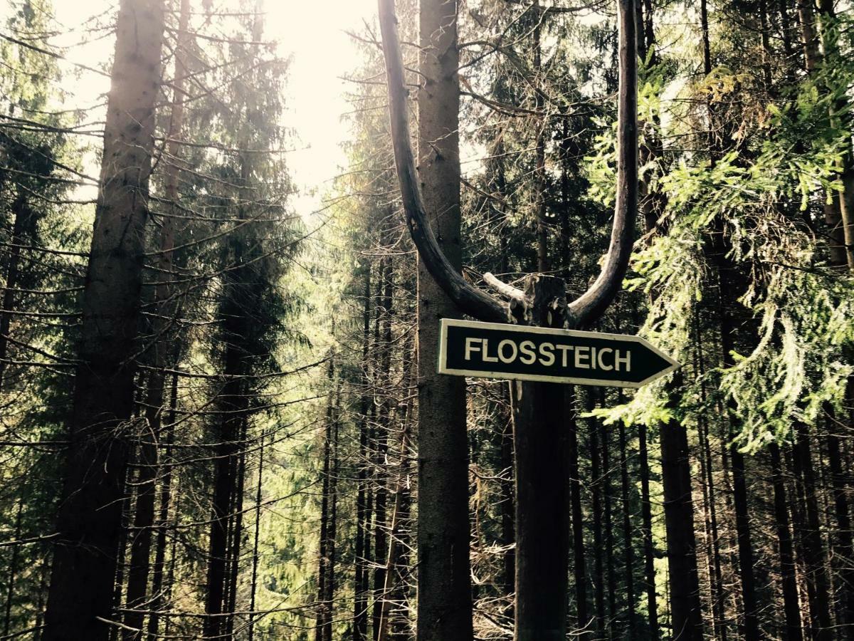 Flair-Hotel Waldfrieden Oberweißbach المظهر الخارجي الصورة
